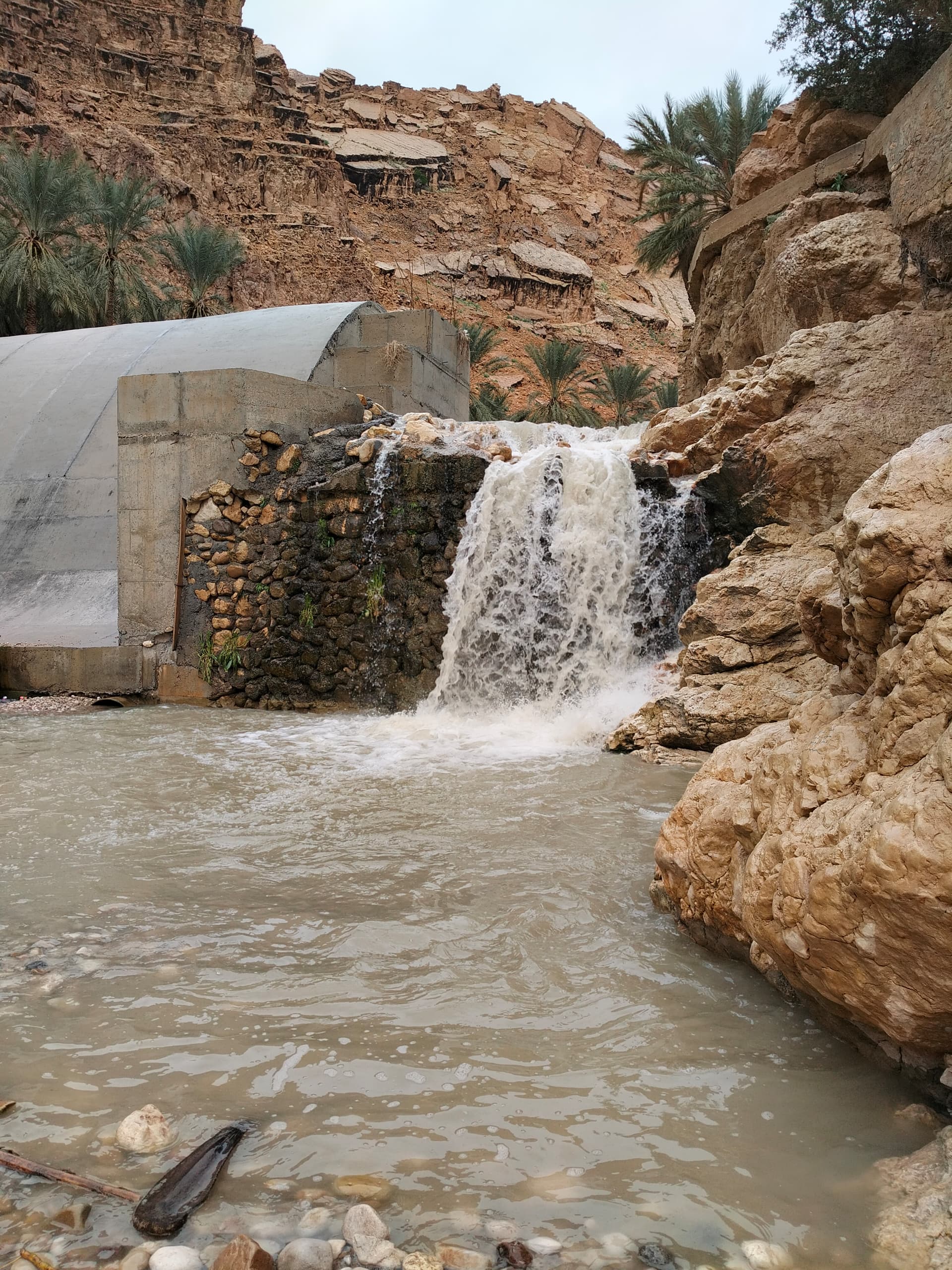 خرجة الى مشونش